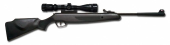 �������� ����. Stoeger X20 Synthetic Combo