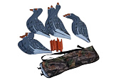 ������� ���������� ����  (12��.)