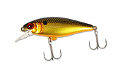  JACKALL Chubble SR gold & black