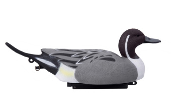 ������ ���������� �������� SHS (North Way)