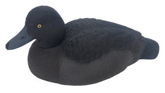 ������ �������� �������-���� (������)