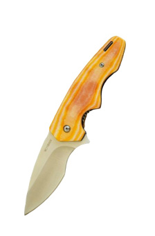 ��� �������� SteelClaw Phan 2