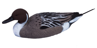 ������ ����������-�������� (������)