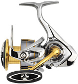  / DAIWA 21 FREAMS LT 2500