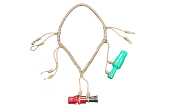 ������ �� ���� ������ (��������) 