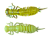 ���-������� LARVA 64�� (�������. ������ � ������.) (��. 8��)