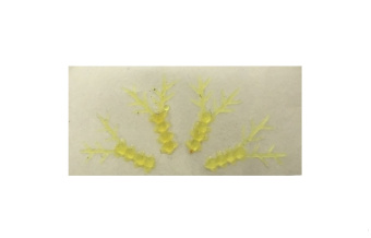 ������ ��������. ������� � ����. 3 ��. (������)