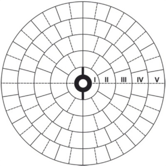 ������ ���������� 