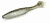   ALLVEGA "Belly Dance Shad" 10 9,7 SB-BDS100-012