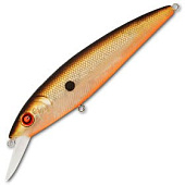  PONTOON 21 P21-BON-105SP-SR-009