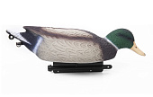 Чучело Кряква селезень кормящийся SKS-P (North Way) Чучело Кряква селезень кормящийся SKS-P (North Way)