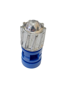 ���� ���� 12��.