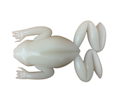 - FGOGLING 56 (. /) (. 4)