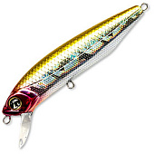  PONTOON 21 P21-DXT-93SP-SR-A15