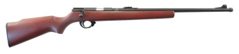  Armscor M14 22LR