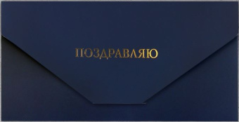 Подарочный конверт «Клетка» 19х9,2см. Подарочный конверт «Клетка» 19х9,2см.