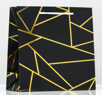 ����� ���������� �������� �����, � ���������, 22,5�23�10 �� (9568241)