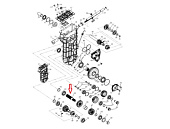 ��� ��� ����� (�40601081)