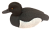  - ()