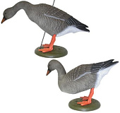 ������ ���� �������� Sport Plast (����������, � ���������� ����)  LG 750