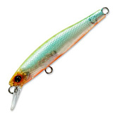  Cultiva CT Minnow 55F  34, 55 ., 2,6