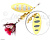  . PONTOON21 Trait P21-SP-TRA-#1-BT01-041