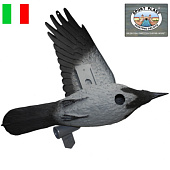 ������ ����� Sport Plast FLC31-10